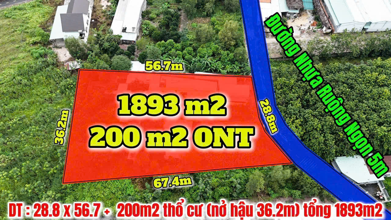 CHÍNH CHỦ NGỘP BANK – BÁN LỖ LÔ ĐẤT ĐẸP 1.893m² – CHỈ 6 TỶ 6