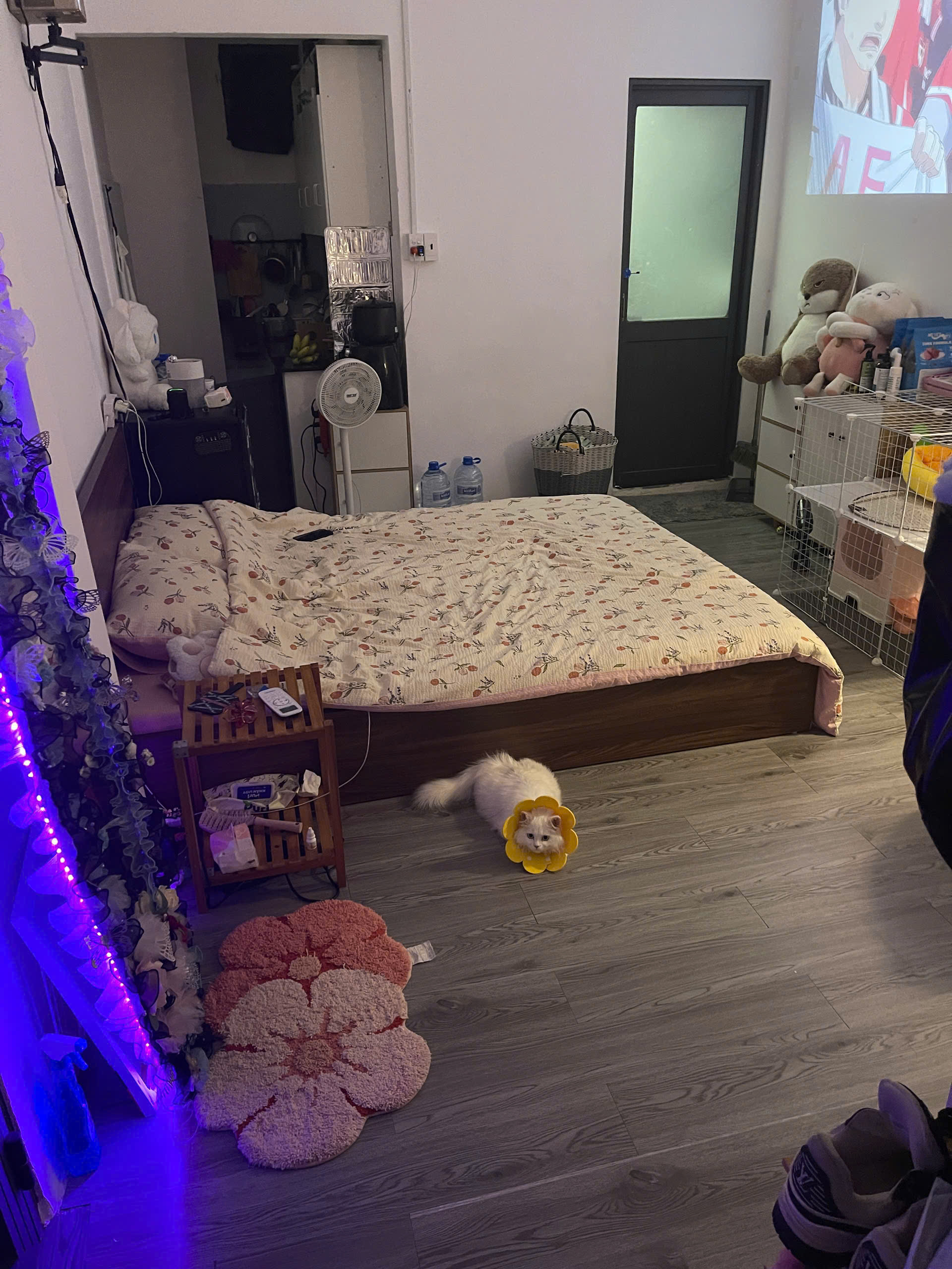 CHO THUÊ PHÒNG STUDIO 1 PHÒNG NGỦ – CỬA SỔ THOÁNG – NGUYỄN XÍ, BÌNH THẠNH