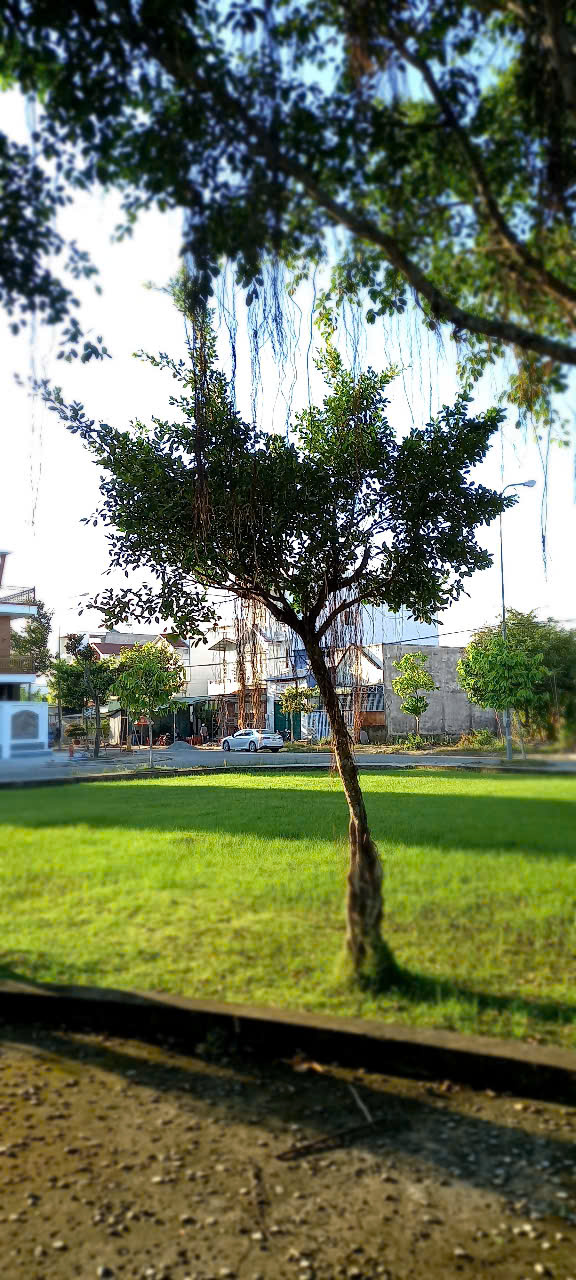 Cho thuê mặt bằng 220m² – Chỉ 7,9 triệu/tháng! q Bình Thủy, Cần Thơ