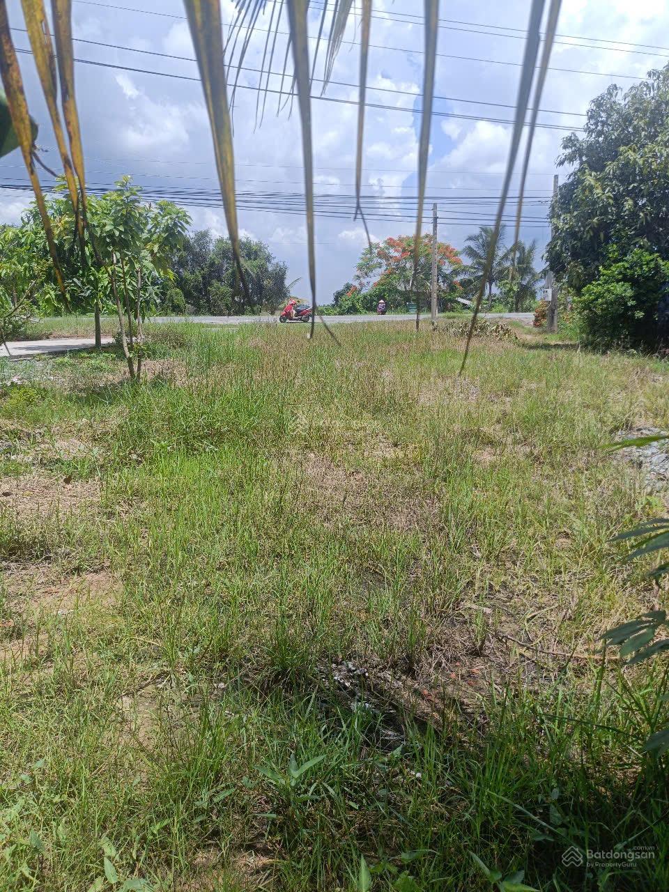 CƠ HỘI ĐẦU TƯ SINH LỜI – ĐẤT MẶT TIỀN QUỐC LỘ 62, CÂY SỐ 15