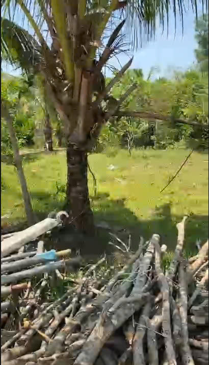 ► CHÍNH CHỦ BÁN LÔ ĐẤT GIÁ CHỈ 600 TRIỆU – ẤP BẾN TRÀM, CỬA DƯƠNG, PHÚ QUỐC