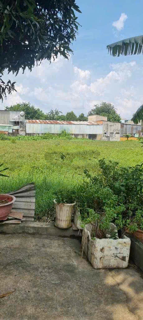 BÁN 1.950M² ĐẤT NÔNG NGHIỆP QUY HOẠCH ĐẤT Ở - HẺM XE HƠI - GIÁ CHỈ 7,8 TRIỆU/M² TẠI HÓC MÔN