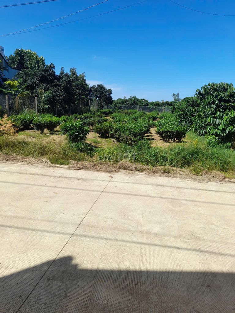 Chính Chủ Cần Bán Lô đất thổ cư tọa lạc tại Thôn 2, xã Hòa Ninh, huyện Di Linh, tỉnh Lâm Đồng, thuộc khu vực trung tâm hành chính của xã Hòa Ninh mới,