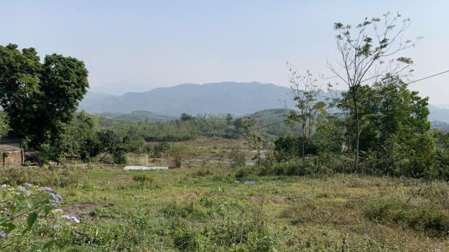 SIÊU PHẨM ĐẤT NÔNG NGHIỆP TẠI LẠC DƯƠNG – CƠ HỘI VÀNG CHO NHÀ ĐẦU TƯ