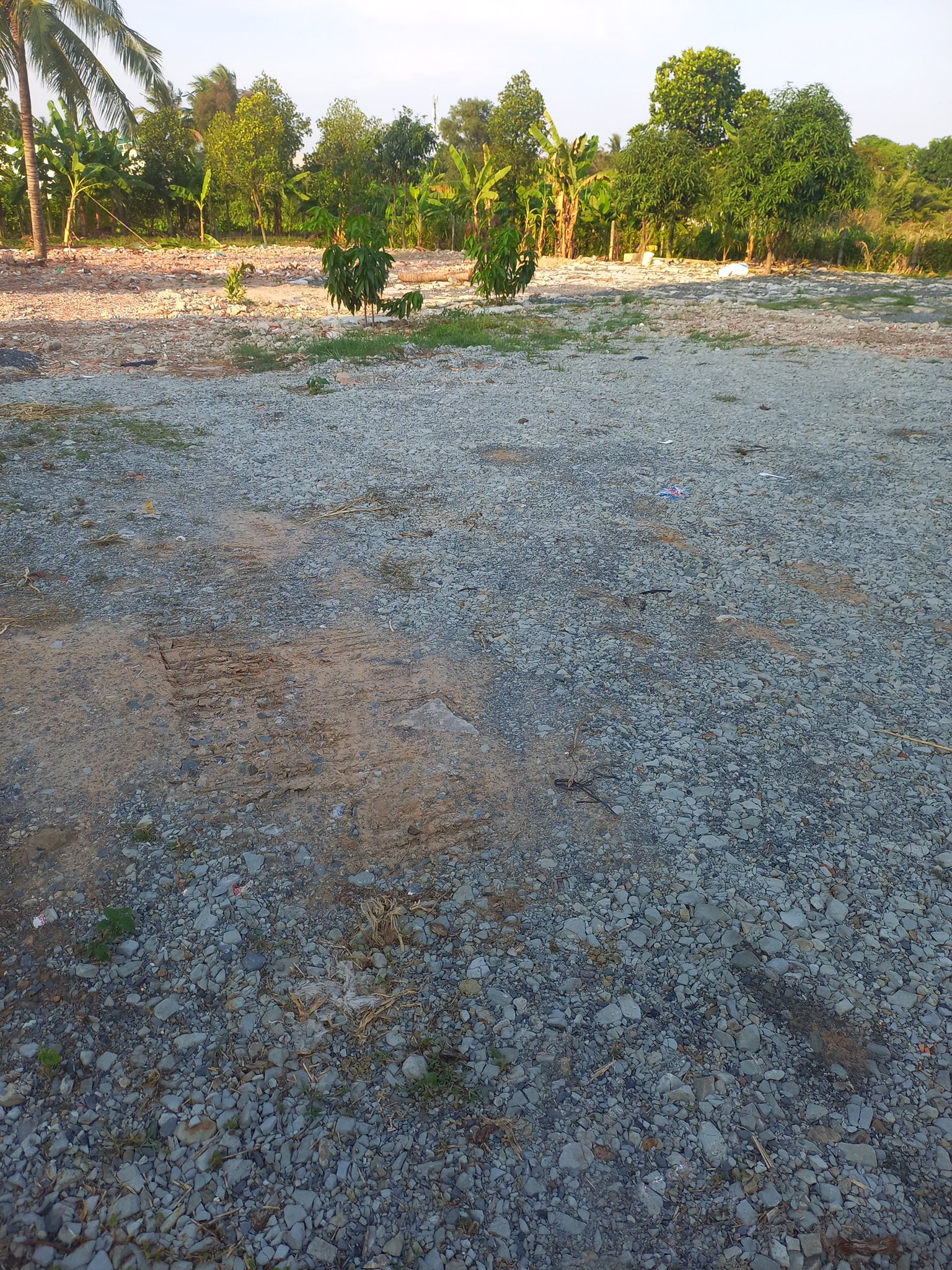 Chính chủ cho thuê mặt bằng 2000m2 tại khu phố Hoà Long, Lái Thiêu, TP Thuận An.