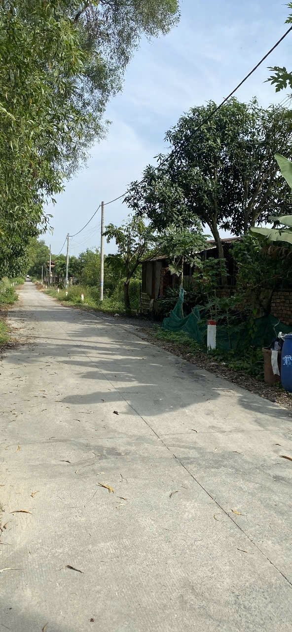 BÁN GẤP ĐẤT NỀN 271,5M² – NGUYỄN THỊ KÉO, CỦ CHI – GIÁ CHỈ 1,6 TỶ