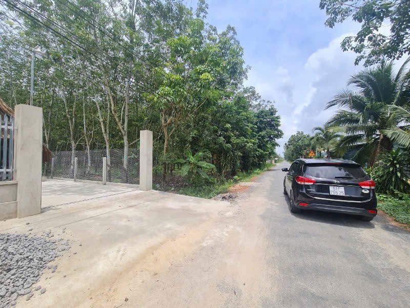 CHÍNH CHỦ BÁN LÔ ĐẤT LỚN XÃ CẨM GIANG – HUYỆN GÒ DẦU, TÂY NINH