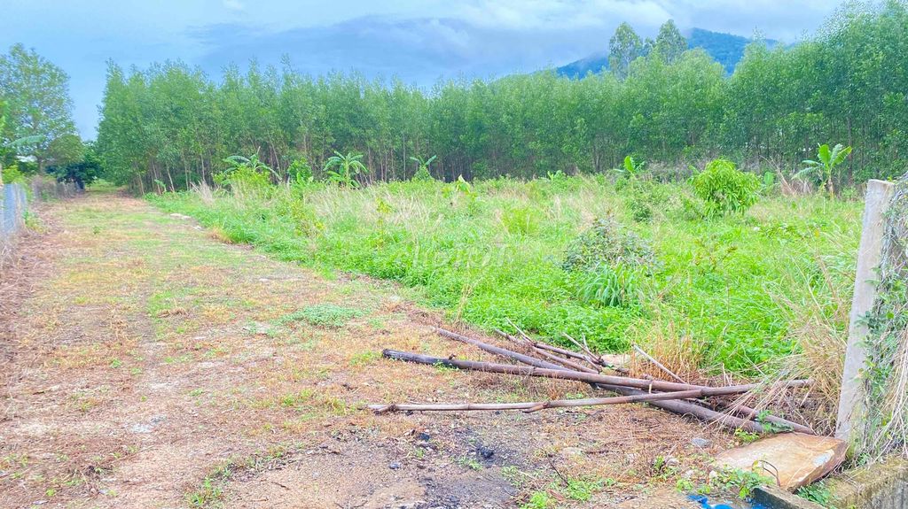 CHÍNH CHỦ BÁN LÔ ĐẤT 9.150m² – XÃ CHÂU PHA, PHÚ MỸ, BÀ RỊA - VŨNG TÀU