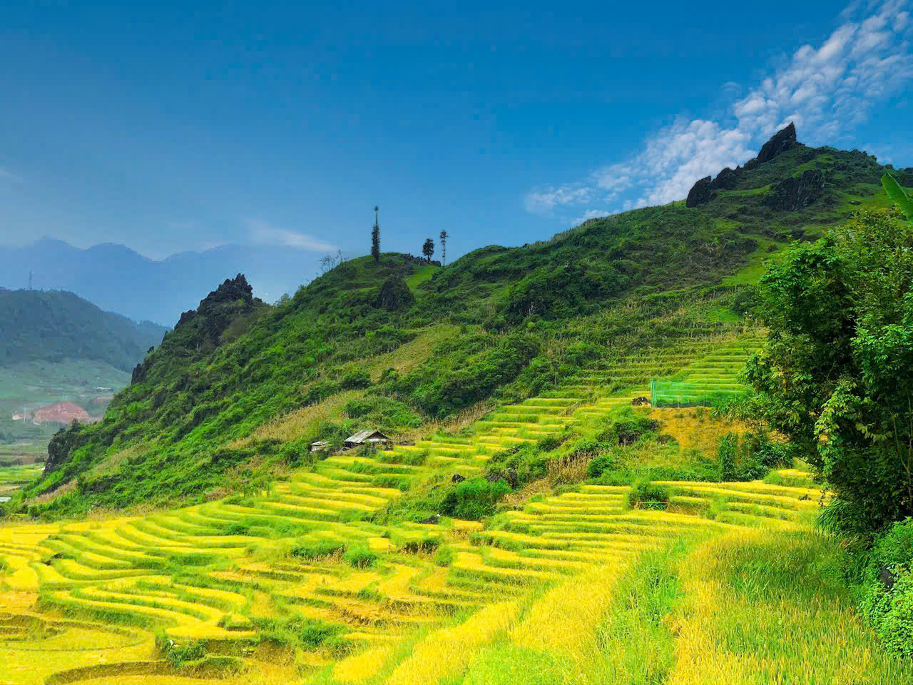 Chính chủ cần bán lô đất rộng 3,95ha, vị trí đẹp tại Xã Tả Phìn, cách trung tâm Sa Pa chỉ 8km