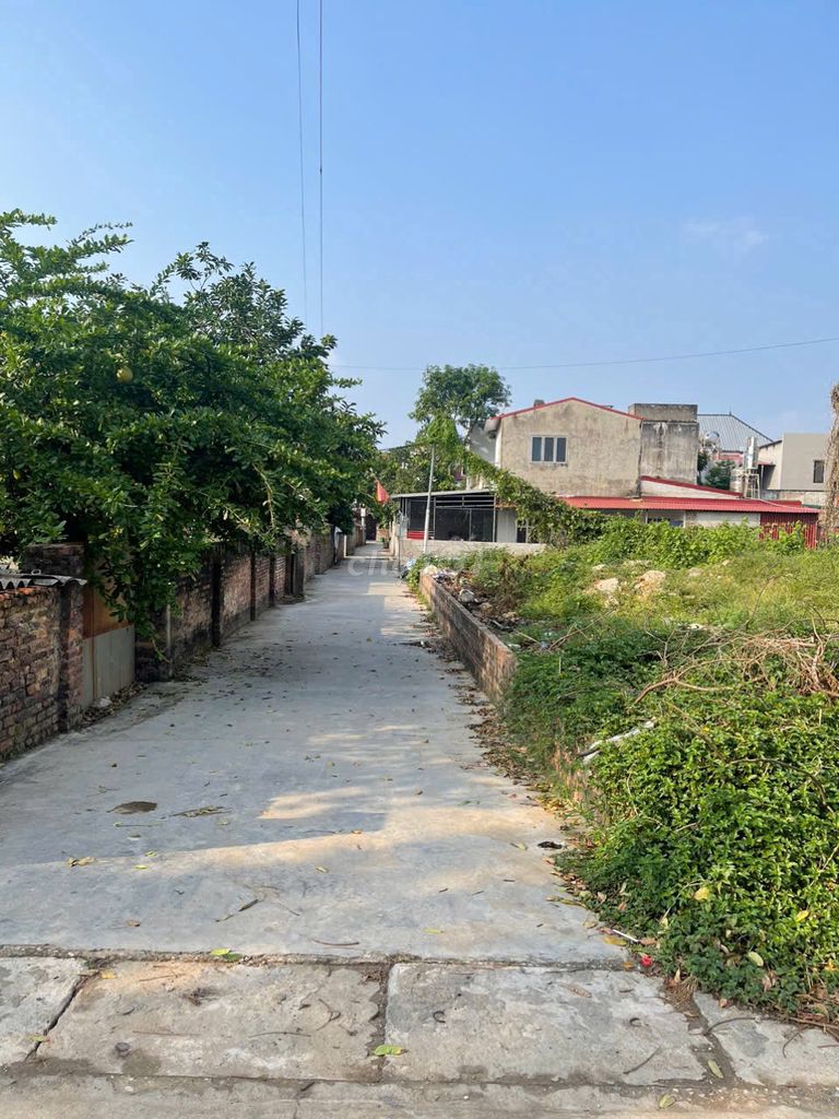 CẦN BÁN 144m² ĐẤT THỔ CƯ TẠI ĐÔNG LAI, QUANG TIẾN, SÓC SƠN