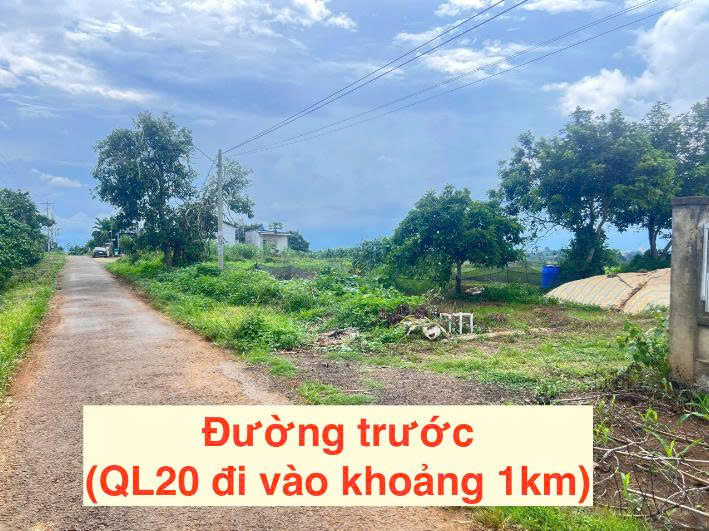 Bán Đất Lộc An – 112,3m² – Có 104,8m² Đất Ở – Đường 5m – Chỉ 439 Triệu