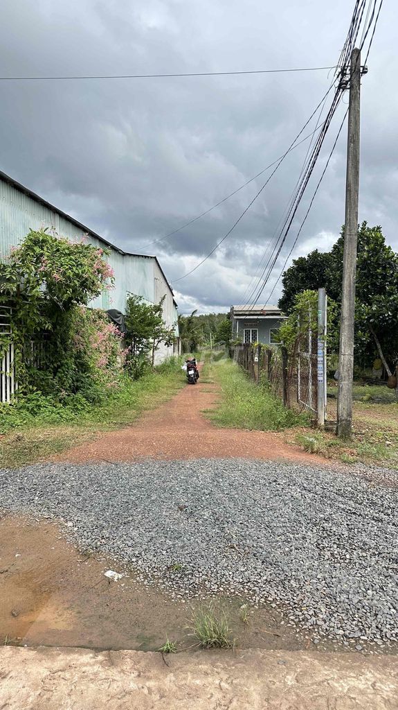 ĐẤT ĐẸP CHƠN THÀNH, BÌNH PHƯỚC – 1.008m² – GIAO DỊCH NHANH, GIÁ TỐT.