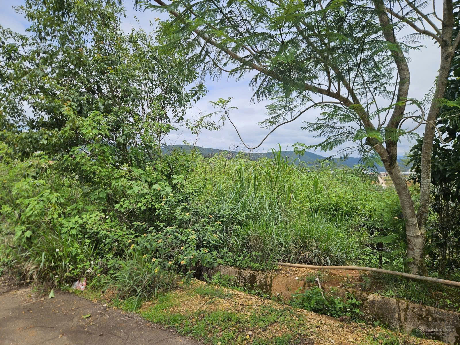 Bán đất tại KQH Trường Xuân 2, P. Xuân Trường, Đà Lạt. DT 292 m2( Mặt tiền 15m). Giá 7 tỷ TL