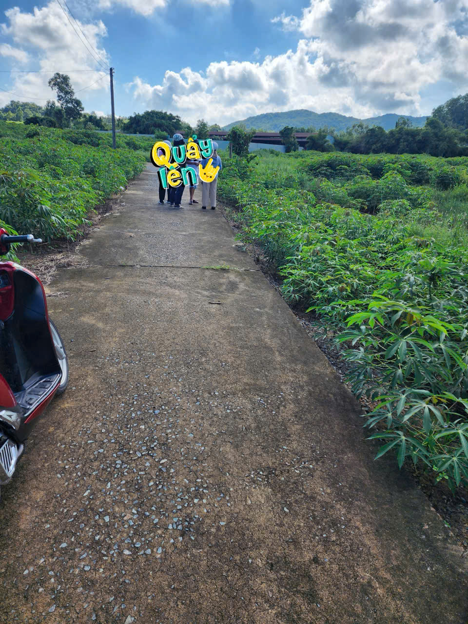 ►  BÁN ĐẤT 2 MẪU – Ô TÔ VÀO TẬN NƠI – CÓ 400m² THỔ CƯ