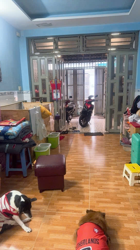 BÁN NHANH NHÀ ĐẸP, Ở NGAY, GIÁ TỐT CHỈ 80 triệu/m² NGAY HẺM 25 BÙI QUANG LÀ, PHƯỜNG 12, QUẬN GÒ VẤP