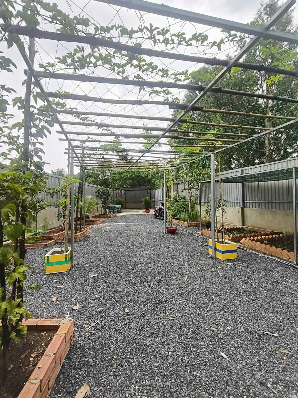 CHÍNH CHỦ BÁN VƯỜN CÂY ĂN TRÁI NGHỈ DƯỠNG – THỚI TAM THÔN, HÓC MÔN