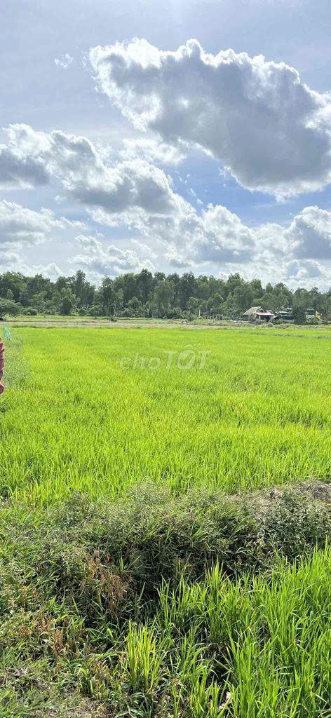 BÁN ĐẤT NÔNG NGHIỆP HÓC MÔN, HỒ CHÍ MINH – QUY HOẠCH KHU DÂN CƯ MỚI