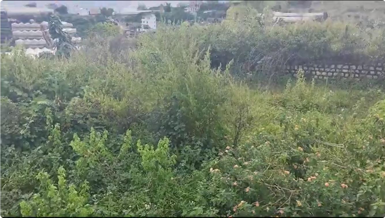 BÁN ĐẤT VIEW RỪNG THÔNG – MĂNG LIN, P. CAM LY, ĐÀ LẠT
