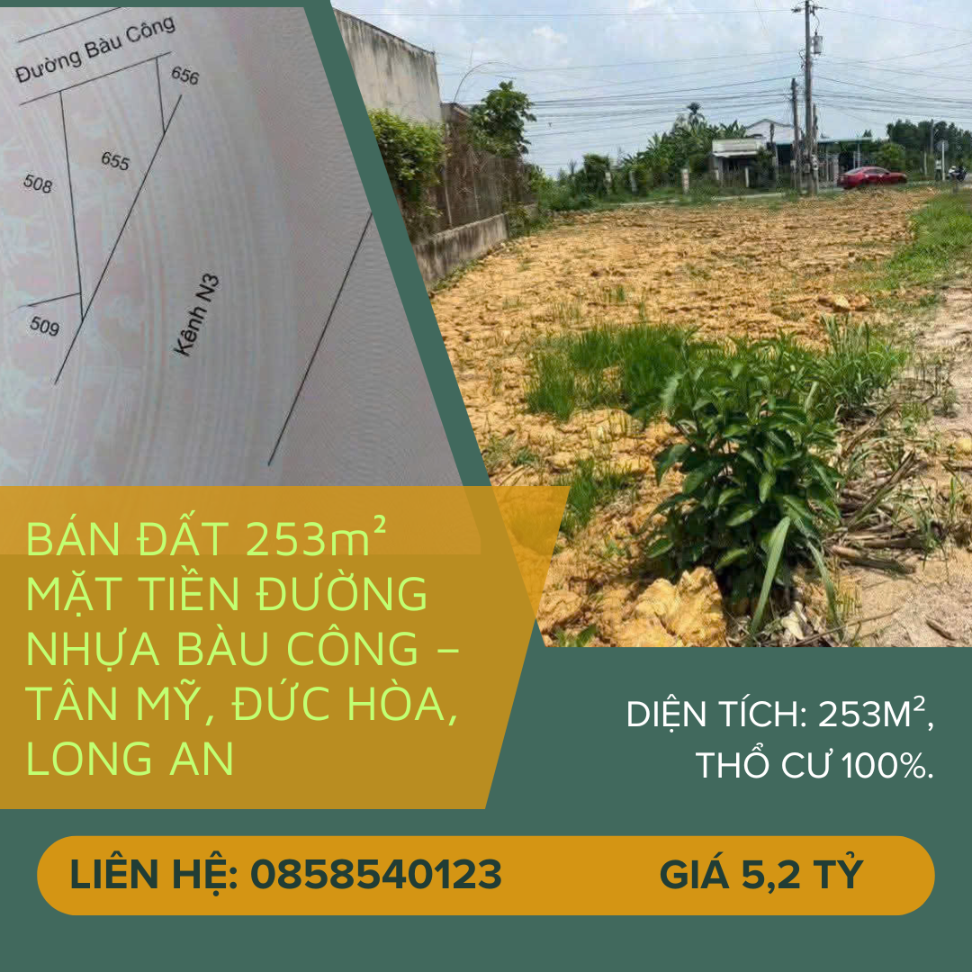https://batdongsanviet.info.vn/ban-dat-253m-mat-tien-duong-nhua-bau-cong-tan-my-duc-hoa-long-an-j196357.html