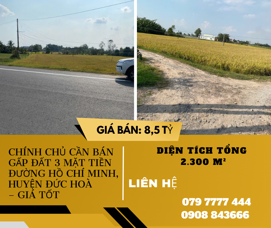 https://batdongsanviet.info.vn/chinh-chu-can-ban-gap-dat-3-mat-tien-duong-ho-chi-minh-huyen-duc-hoa-gia-tot-j196437.html