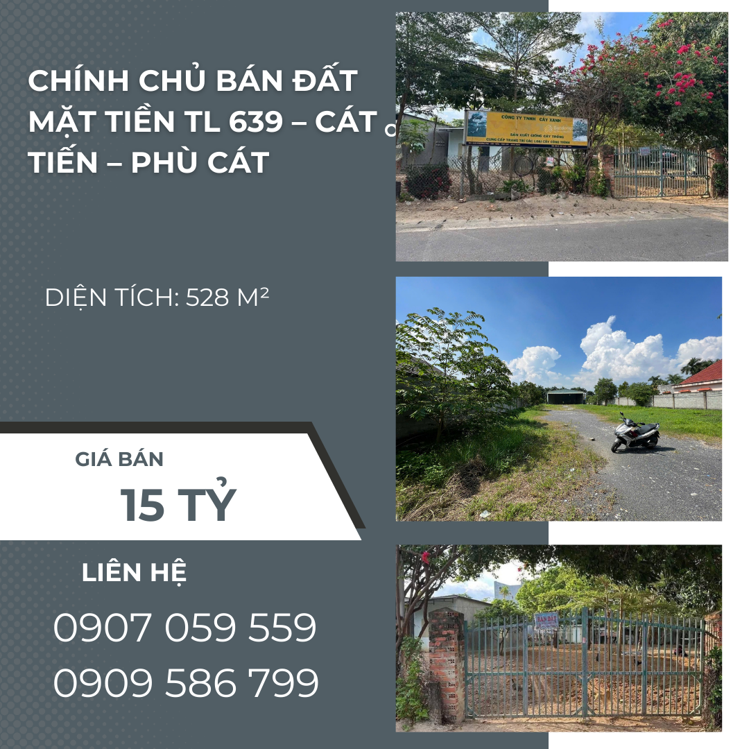 https://batdongsanviet.info.vn/chinh-chu-ban-dat-mat-tien-tl-639-cat-tien-phu-cat-j196806.html