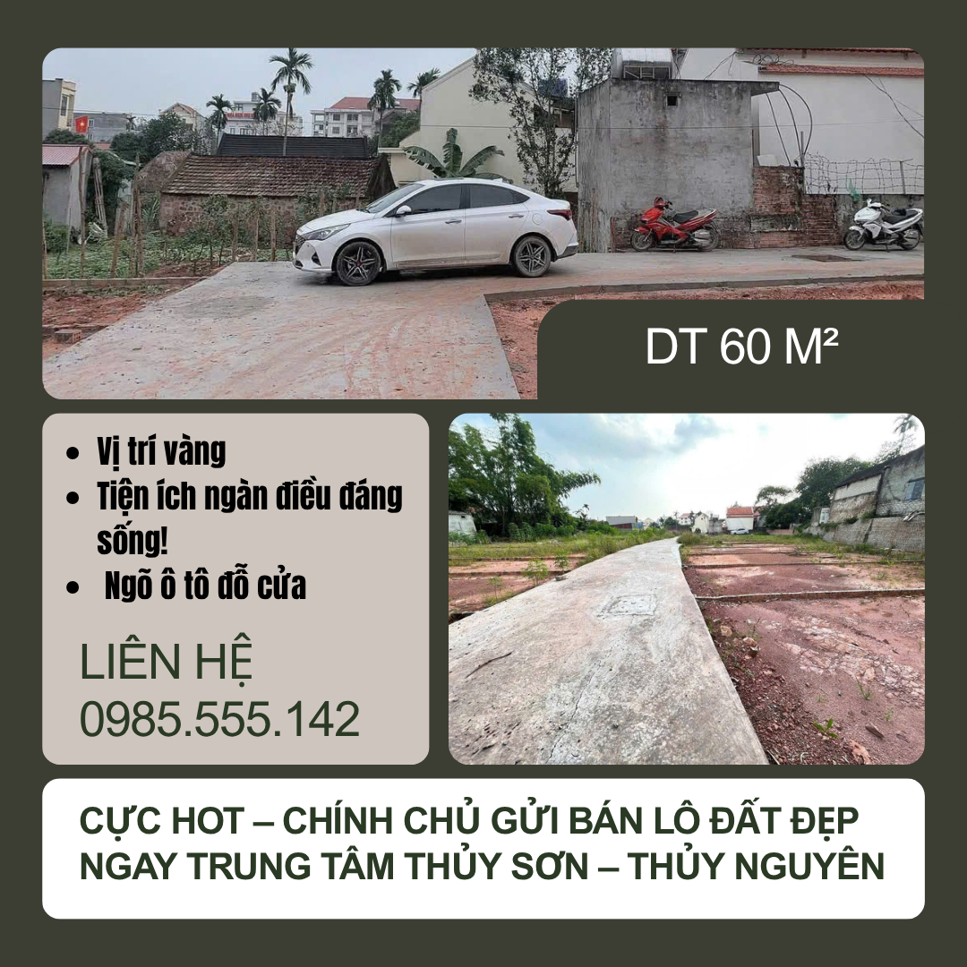 https://batdongsanviet.info.vn/cuc-hot-chinh-chu-gui-ban-lo-dat-dep-ngay-trung-tam-thuy-son-thuy-nguyen-j195941.html