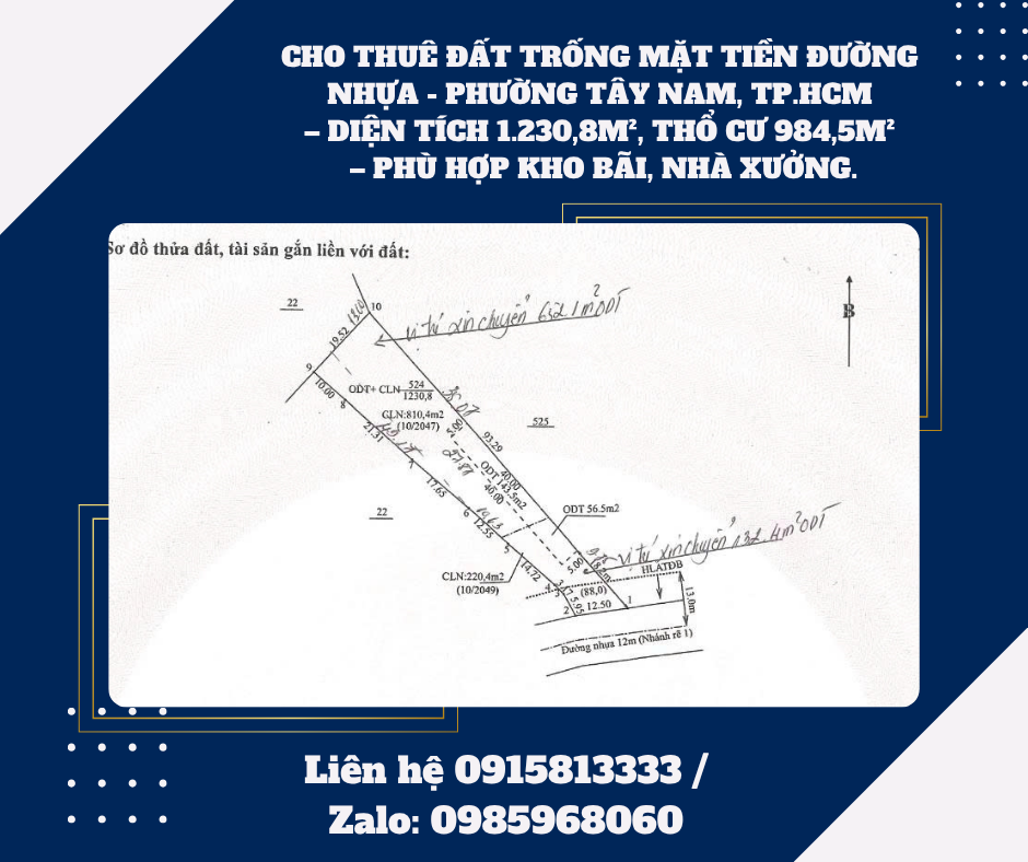 https://batdongsanviet.info.vn/cho-thue-dat-trong-mat-tien-duong-nhua-dien-tich-1-230-8m-tho-cu-984-5m-phu-hop-kho-bai-nha-xuong-j199773.html