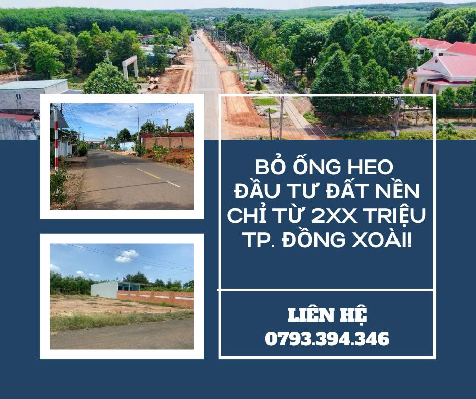 https://batdongsanviet.info.vn/bo-ong-heo-dau-tu-dat-nen-chi-tu-2xx-trieu-ngay-tp-dong-xoai-j192474.html