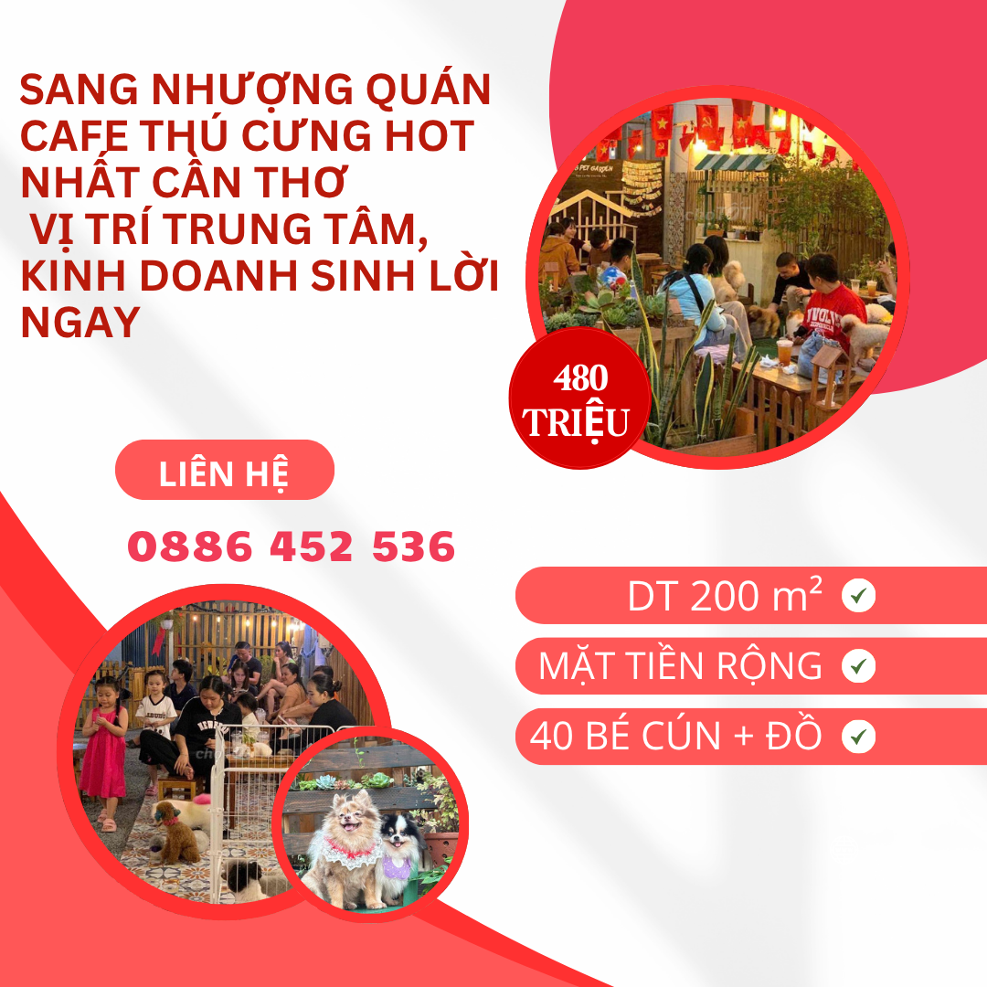 https://batdongsanviet.info.vn/sang-nhuong-quan-cafe-thu-cung-hot-nhat-can-tho-vi-tri-trung-tam-kinh-doanh-sinh-loi-ngay-j195970.html