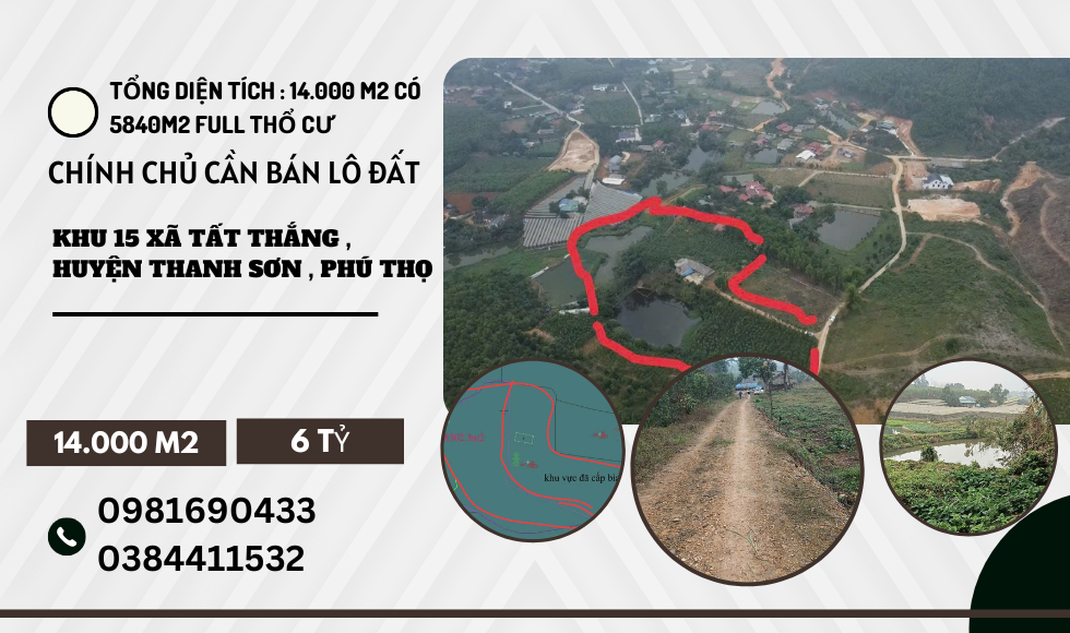 https://batdongsanviet.info.vn/chinh-chu-can-ban-lo-dat-khu-15-xa-tat-thang-huyen-thanh-son-phu-tho-j192004.html
