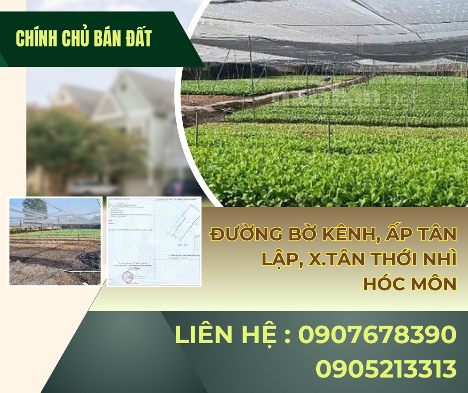 https://batdongsanviet.info.vn/chinh-chu-ban-dat-duong-bo-kenh-ap-tan-lap-x-tan-thoi-nhi-hoc-mon-j191370.html