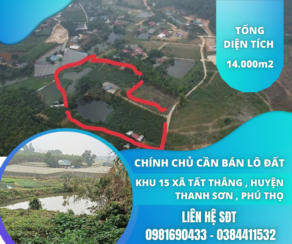 https://batdongsanviet.info.vn/chinh-chu-can-ban-lo-dat-khu-15-xa-tat-thang-huyen-thanh-son-phu-tho-j192004.html