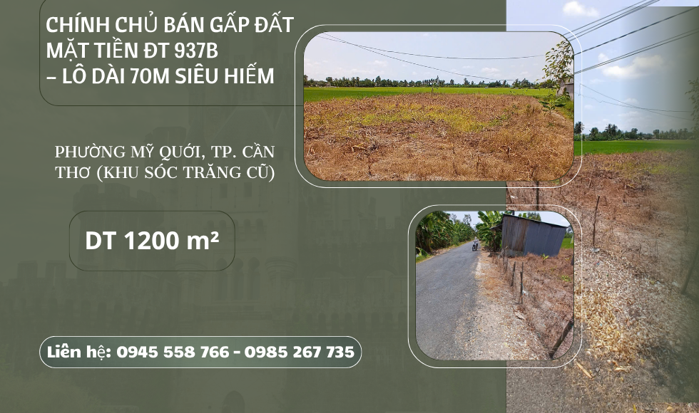 https://batdongsanviet.info.vn/chinh-chu-ban-gap-dat-mat-tien-dt-937b-lo-dai-70m-sieu-hiem-j198965.html