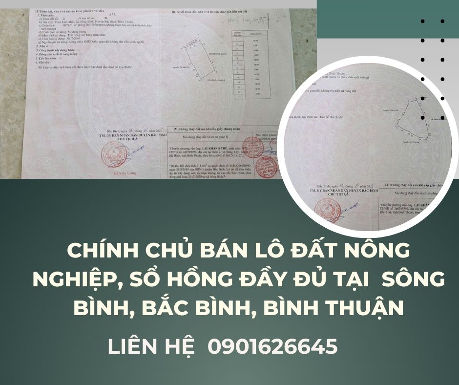 https://batdongsanviet.info.vn/chinh-chu-ban-lo-dat-trong-cay-lau-nam-so-hong-day-du-tai-song-binh-bac-binh-binh-thuan-j192206.html