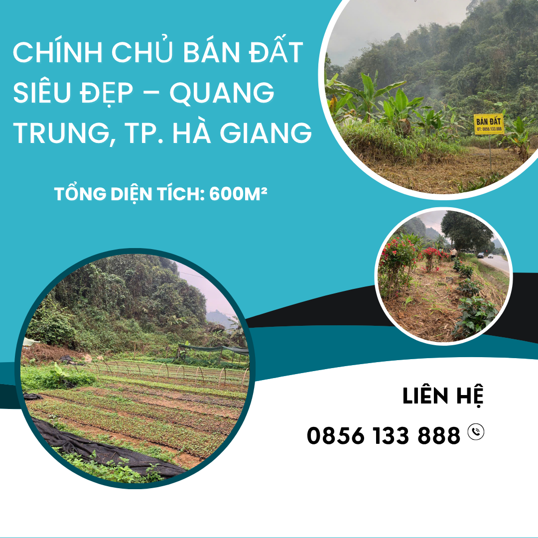 https://batdongsanviet.info.vn/chinh-chu-ban-dat-sieu-dep-quang-trung-tp-ha-giang-j198212.html