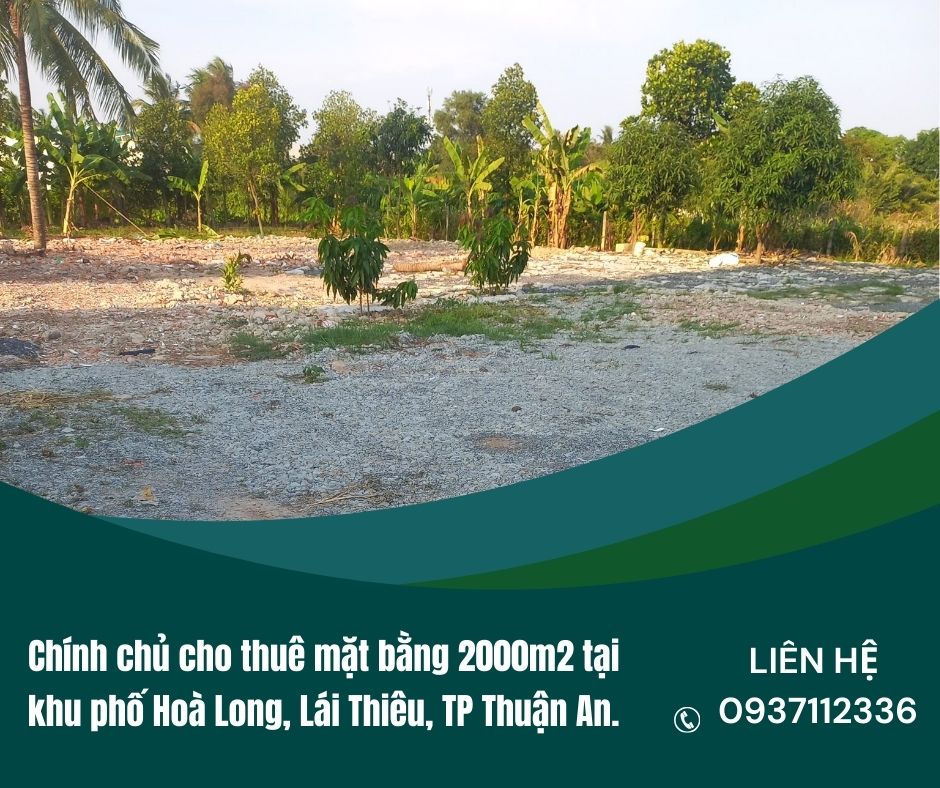 https://batdongsanviet.info.vn/chinh-chu-cho-thue-mat-bang-2000m2-tai-khu-pho-hoa-long-lai-thieu-tp-thuan-an-j192357.html