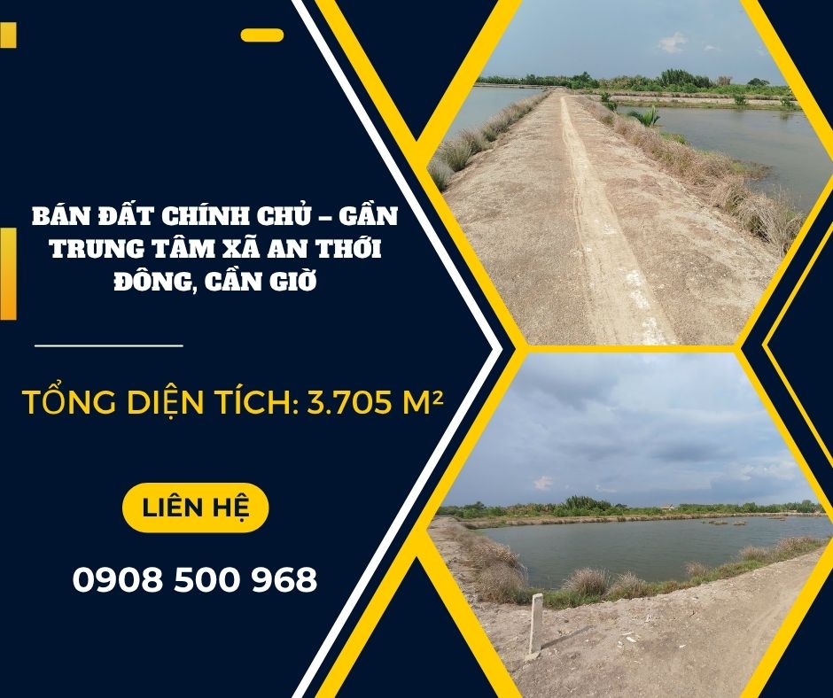 https://batdongsanviet.info.vn/ban-dat-chinh-chu-gan-trung-tam-xa-an-thoi-dong-can-gio-j193443.html