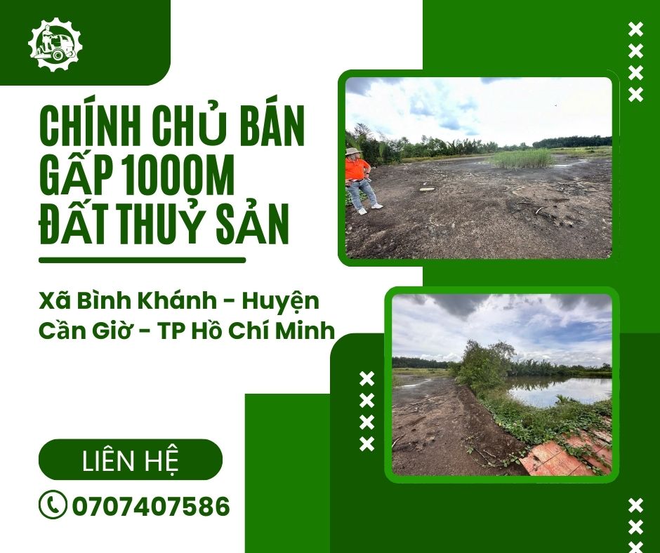 https://batdongsanviet.info.vn/chinh-chu-ban-gap-1000m-dat-thuy-san-j192191.html