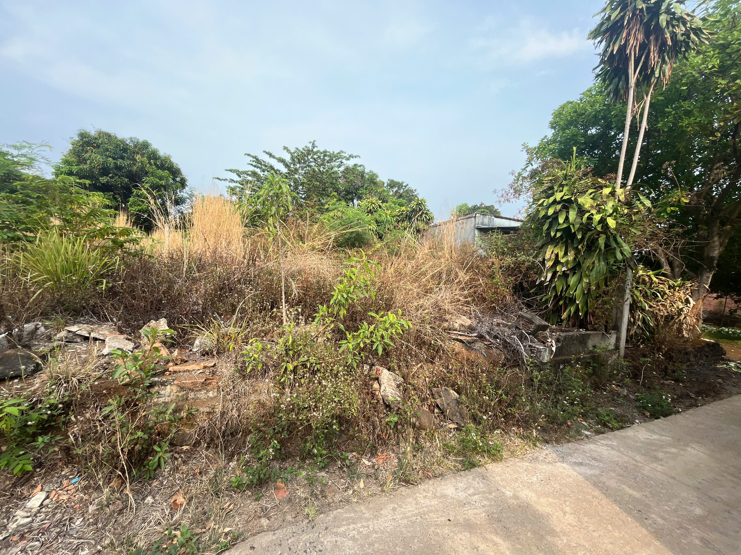 CHÍNH CHỦ BÁN ĐẤT HÒA KHÁNH – BUÔN MA THUỘT