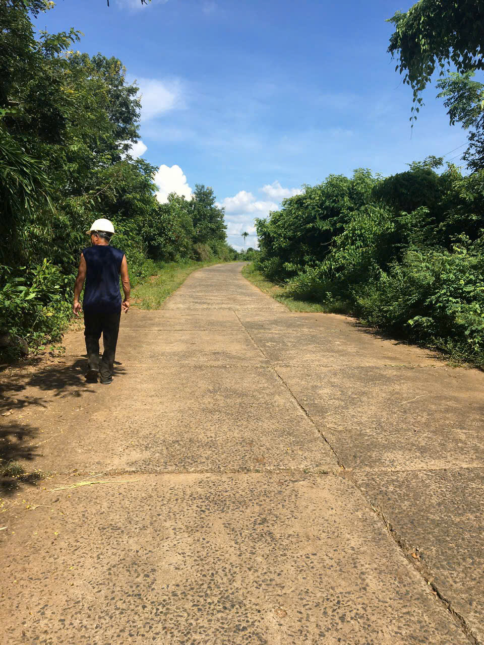 BÁN ĐẤT CHÍNH CHỦ – ĐƯỜNG BÊ TÔNG – DIỆN TÍCH LỚN